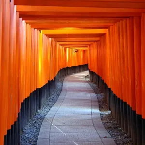 Senbon Torii, tunnels of red torii gates, at Fushimi Inari Shinto shrine in Kyoto, Japan