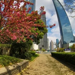 The Shanghai World Financial Center skyscraper building, the Shanghai Central Tower and the Jin Mao Tower in Luijiazui, Pudong, Shanghai, China
