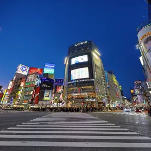 Shibuya pedestrian crossing in Shibuya with lights at night, Tokyo, Japan