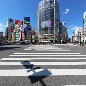 Empty Shibuya pedestrian crossing in Shibuya with shadow, Tokyo, Japan