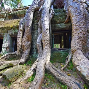 Prints of : Angkor 2016