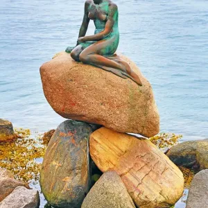 Statue of the Little Mermaid in Copenhagen, Denmark