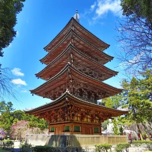 Five storey pagoda at Daigoji Buddhist Temple in Kyoto, Japan