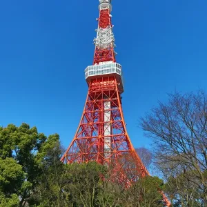 The Tokyo Tower in Tokyo, Japan