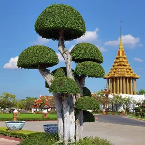 Topiary at Muang Boran, The Ancient City, historical museum of reproductions of famous Thai buildings, Bangkok, Thailand