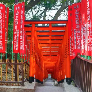 Tunnel of red Torii gates at the Hie Shrine in Asakasa, Tokyo, Japan
