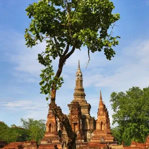 Wat Mahathat temple, Sukhotai, Thailand