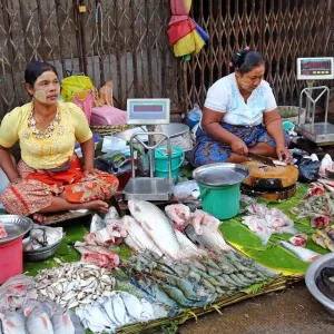 Women selling fish in a street market, Yangon, Myanmar