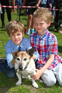 Animals: All Dogs Matter Great Hampstead Bark Off 2015, Hampstead Heath, London
