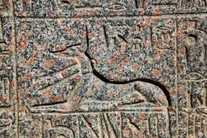 Anubis hieroglyphics at the Memphis Museum, Cairo, Egypt