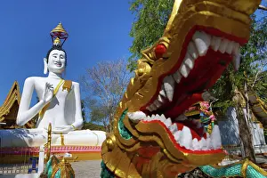 Statues: Big white Buddha statue at Wat Ko Kaew Pitsadan Temple, Koh Samet, Thailand