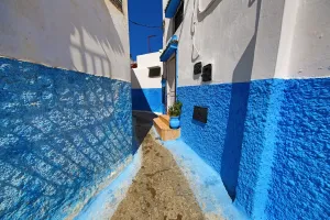 Africa: Blue and white walls of buildings in the Kasbah of the Udayas in Rabat, Morocco