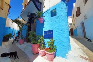 Blue and white walls of buildings in the Kasbah of the Udayas in Rabat, Morocco