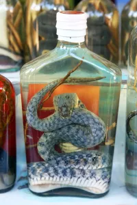 Luang Prabang, Laos: Bottle of Snake Whiskey in Whisky Village near Luang Prabang, Laos