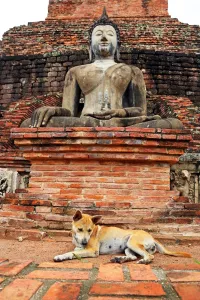 Religion
Buddhism
Buddhist
Temples: Buddha Statue at Wat Mahathat temple, Sukhotai, Thailand