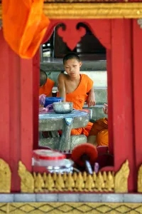 Luang Prabang, Laos: Buddhist Monk at Wat Choum Khong Temple, Luang Prabang, Laos