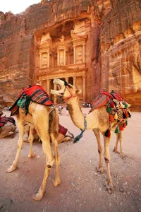 Heritage: Camels at the Treasury, Al-Khazneh, Petra, Jordan