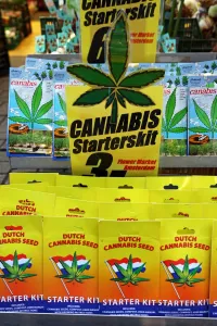 Rabbits Of Okunoshima Island: Cannabis plant seed starter kit souvenirs at the Flower Market in Amsterdam, Holland