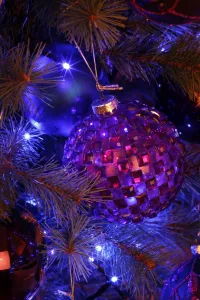 Editor's Picks: Christmas Tree Decoration