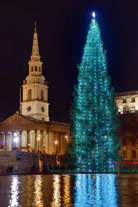 Square: Christmas Tree in Trafalgar Square, London
