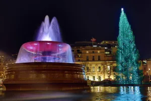 Christmas Tree in Trafalgar Square, London