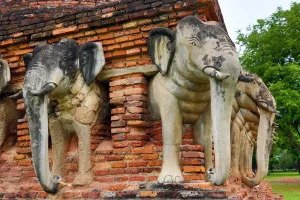 Religion
Buddhism
Buddhist
Temples: Elephant statues on Wat Sorasak Temple, Sukhotai, Thailand