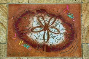 Taiwan: Fossil tile at the Yehliu GeoPark, Wanli in Taiwan