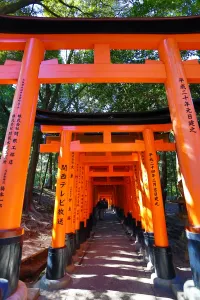 Tunnels: Fushimi Inari shrine red torii gate tunnel in Kyoto, Japan
