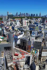 Tokyo, Japan: General view of the city skyline of Shinjuku seen from Shibuya, Tokyo, Japan