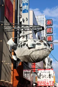 Shops: Giant puffer fish advertising sign in Dotonbori, Osaka, Japan
