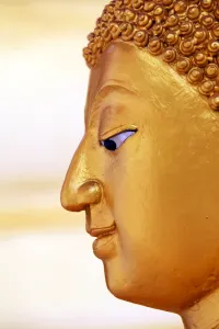 Golden: Gold Buddha statue head and face at Wat Panping Temple in Chiang Mai, Thailand