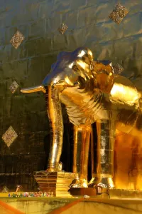Chiang: Gold elephant statue on the chedi at Wat Phra Singh Temple in Chiang Mai, Thailand