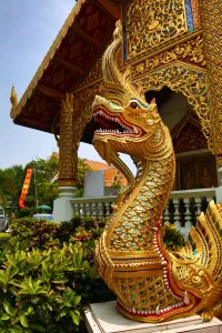 Golden: Gold Naga statue at Wat Phra Singh Temple in Chiang Mai, Thailand