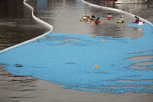 Plastic: Great British Duck Race 2008