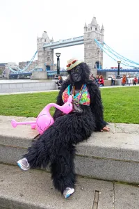 Great Gorilla Run 2014, London, England