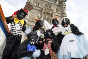 Gorillas: Great Gorilla Run, London