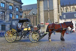 Tourism: Horse and carriage in Dam Square giving rides and tours for tourists in Amsterdam, Holland