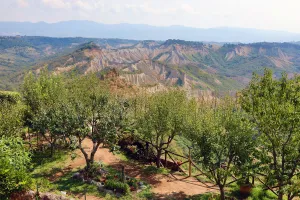 Italian countryside and trees seen from the hilltop village of Civita di Bagnoregio