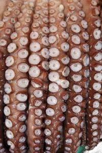 Creative: Jagalchi Fish Market in Busan, South Korea