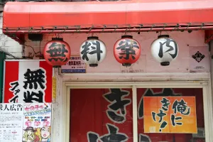 Tokyo, Japan: Japanese lanterns in Shinjuku, Tokyo, Japan