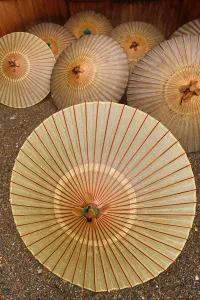 Umbrella: Japanese paper umbrellas or parasols in Tokyo, Japan