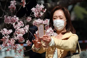 Editor's Picks: Japanese wear masks for Cherry Blossom viewing, Shinjuku Gyoen National Park, Tokyo