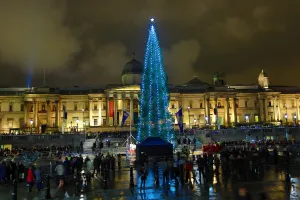 Decorations: Lighting of the Trafalgar Square Christmas Tree lights in London