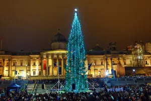Decorations: Lighting of the Trafalgar Square Christmas Tree in London