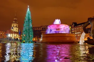 Lighting of the Trafalgar Square Christmas Tree in London