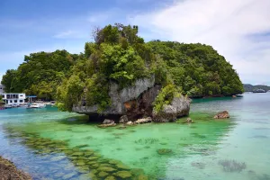 Limestone: Limestone island in Koror, Koror Island, Republic of Palau, Micronesia, Pacific Ocean