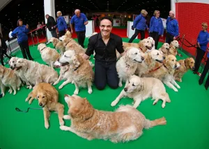 Animals: London Pet Show 2015 at Excel, London, England