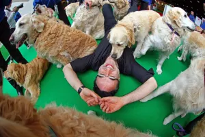 London Pet Show 2015 at Excel, London, England