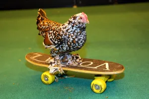 Chickens: Mercedes the skate-boarding chicken at the London Pet Show 2013