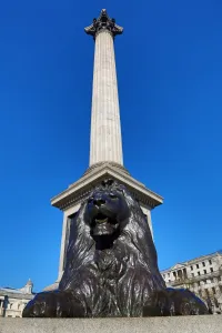 Nelsons: Nelsons Column and lion statue in Trafalgar Square, London, England